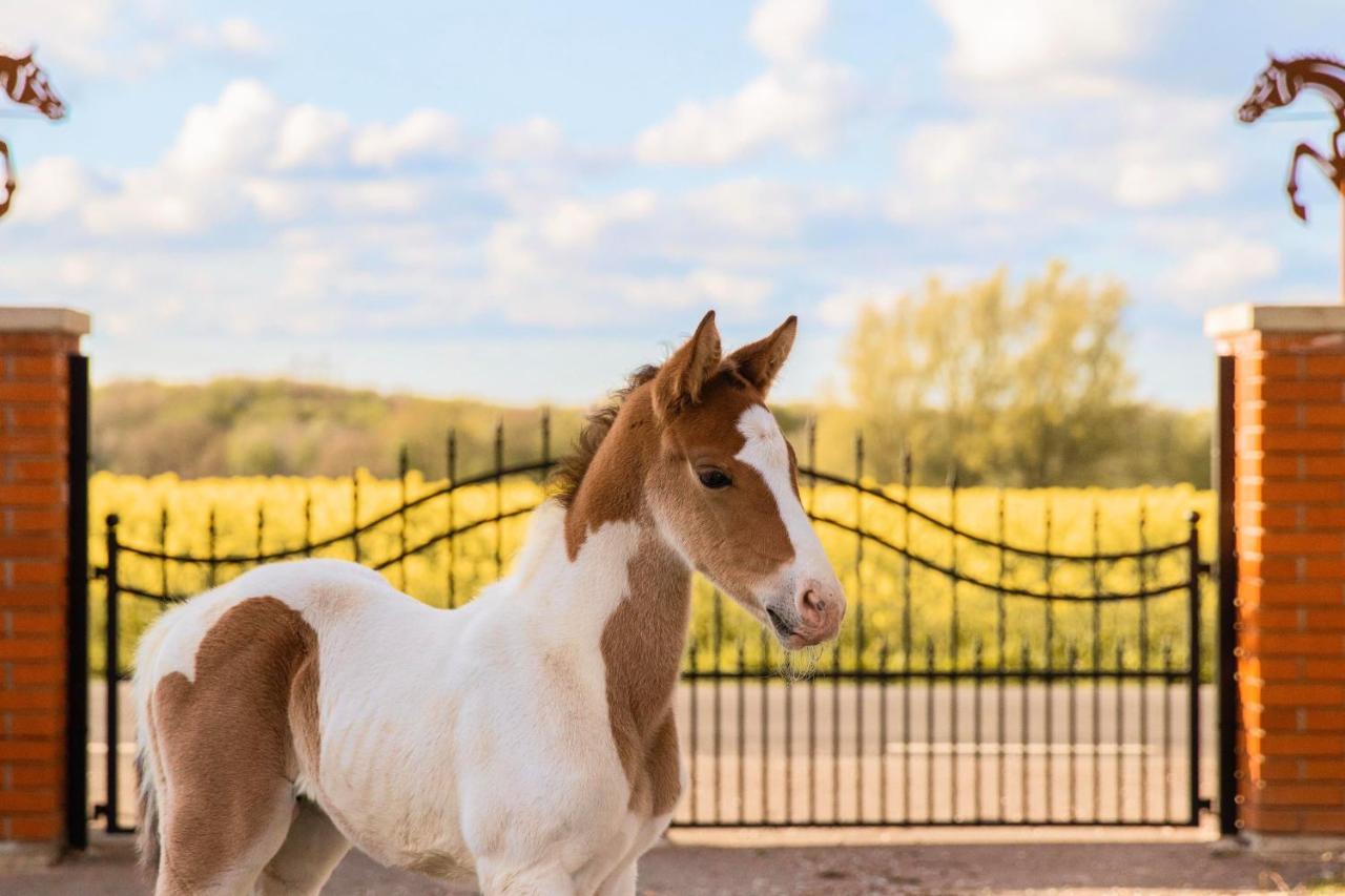 Dorisberg B&B - The Stables Loberod エクステリア 写真