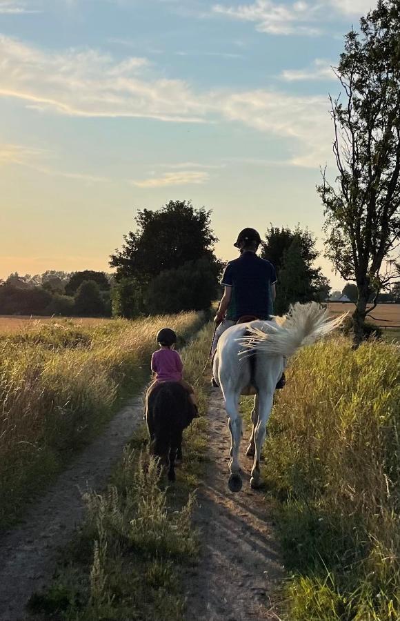 Dorisberg B&B - The Stables Loberod エクステリア 写真