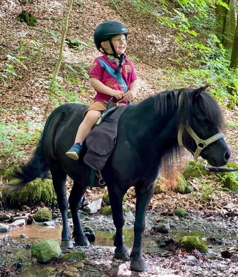 Dorisberg B&B - The Stables Loberod エクステリア 写真
